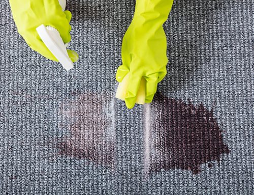 DIY or Professional Carpet Stain Removal?