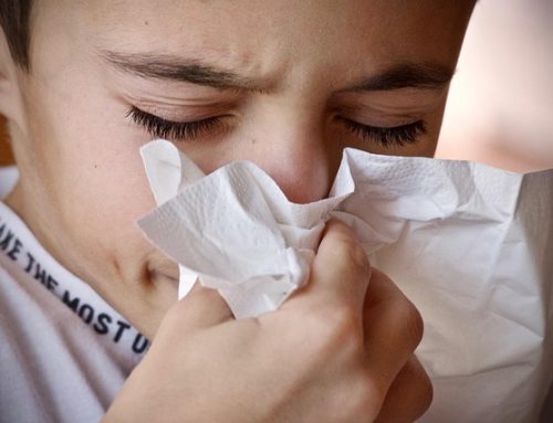 The Hidden Allergens in Your Home (and How to Get Rid of Them)